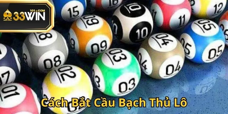 cach-bat-cau-bach-thu-lo-ava